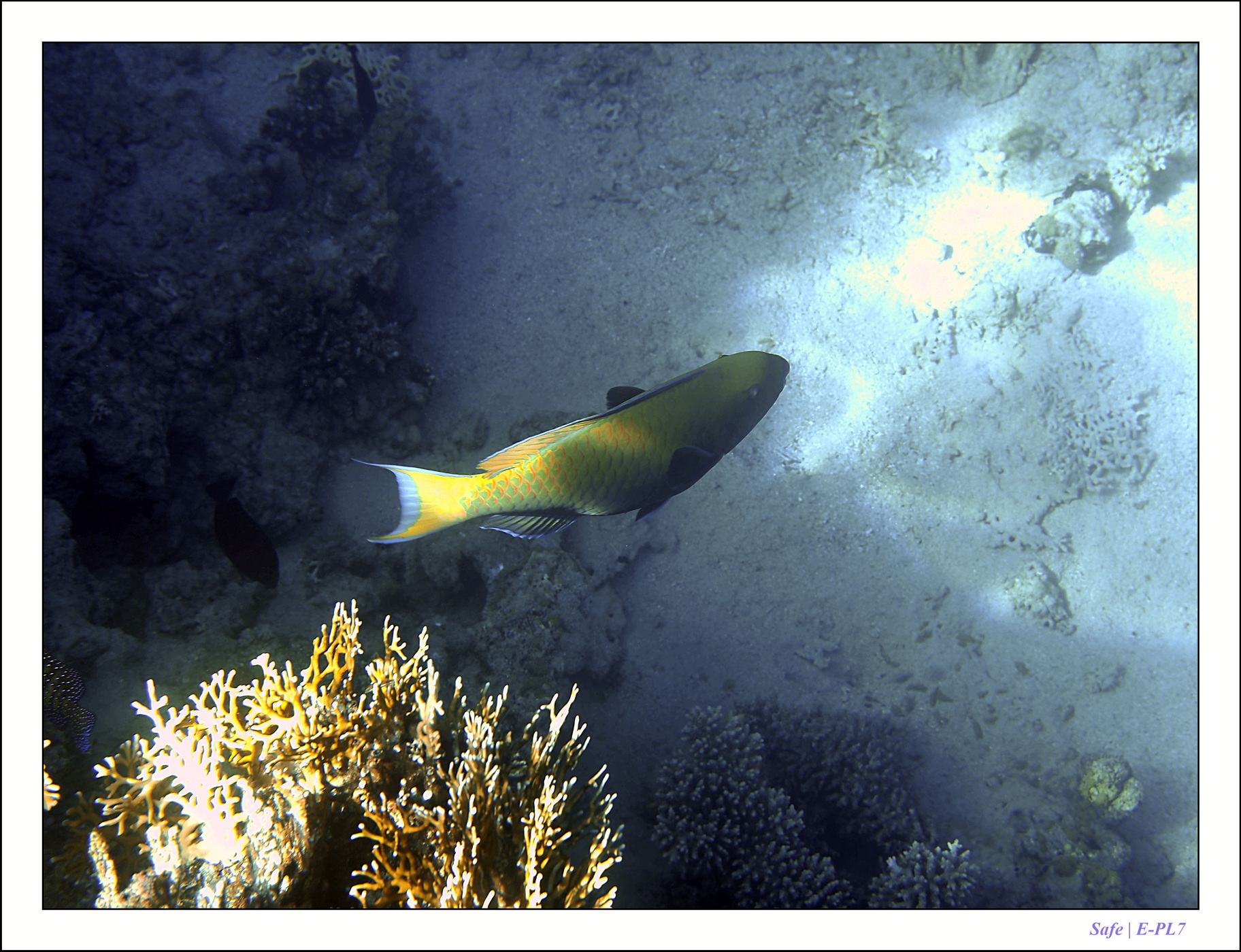 2023 - 03 - Charm El Sheikh - 41